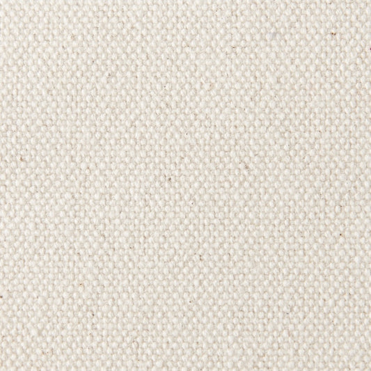 Duck Canvas