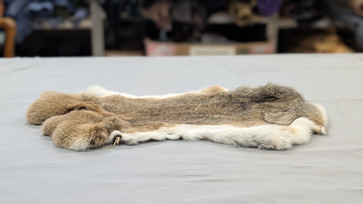 Rabbit Pelt