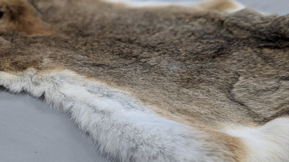 Rabbit Pelt