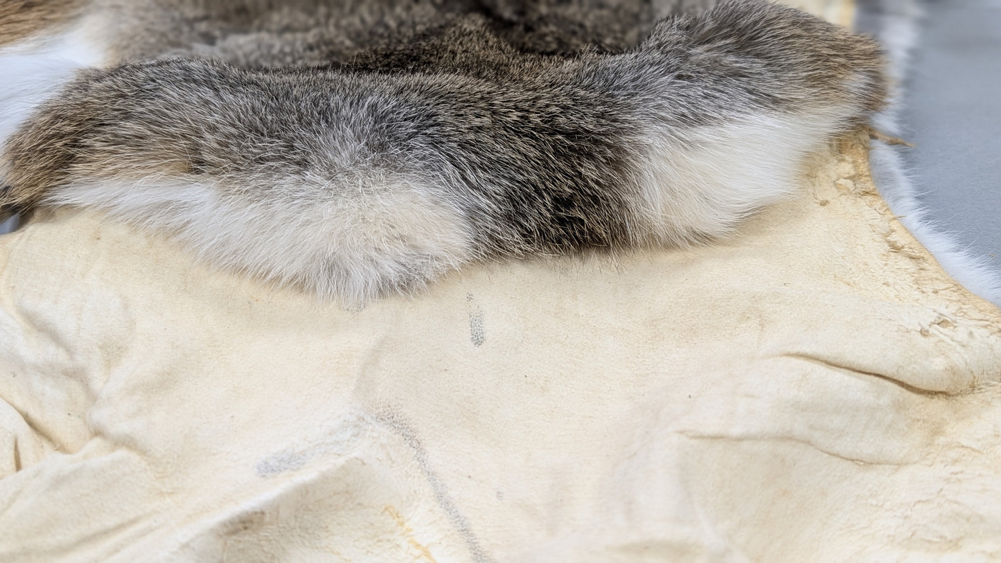 Rabbit Pelt