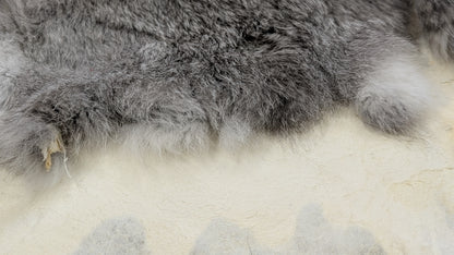 Rabbit Pelt