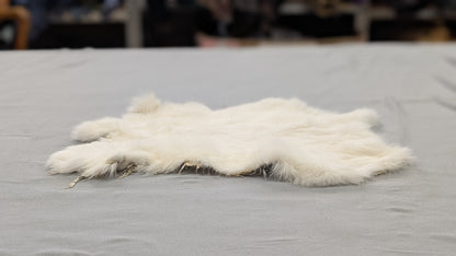 Rabbit Pelt
