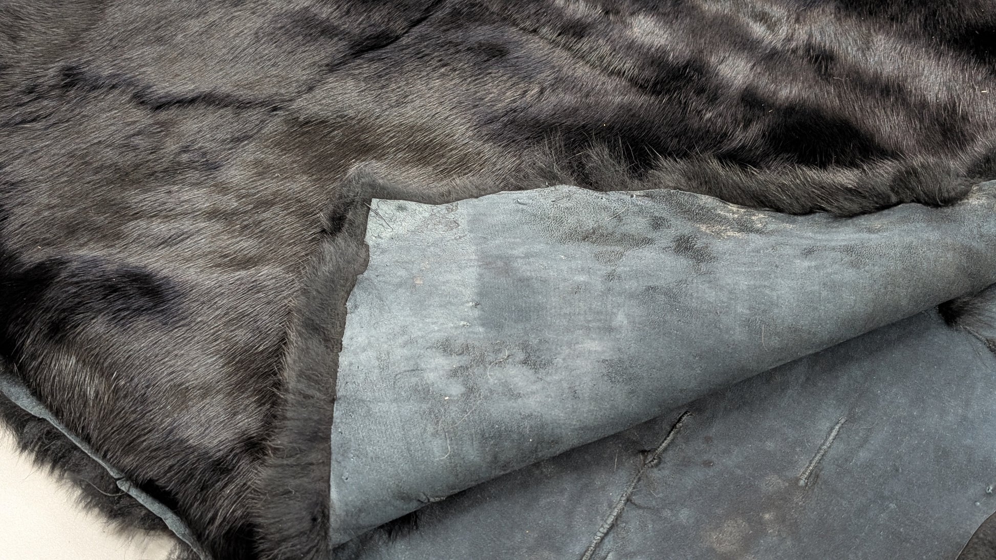 Rabbit Plate - Black - Close