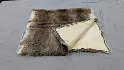 Rabbit Plate - Brown