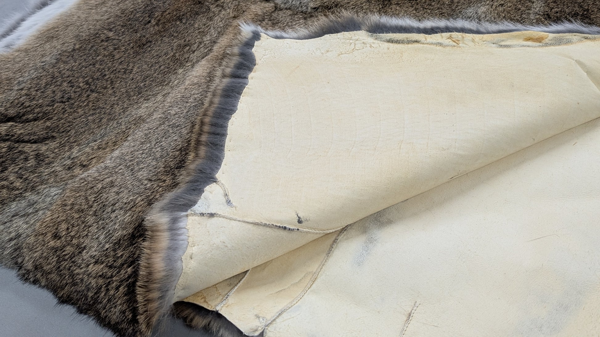 Rabbit Plate - Brown - Close