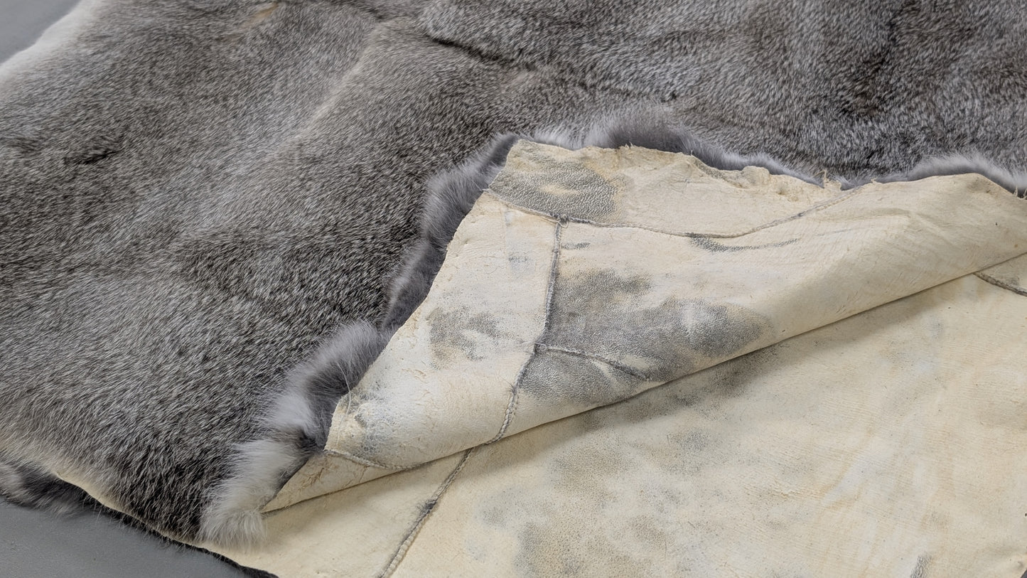 Rabbit Plate - Gray - Close