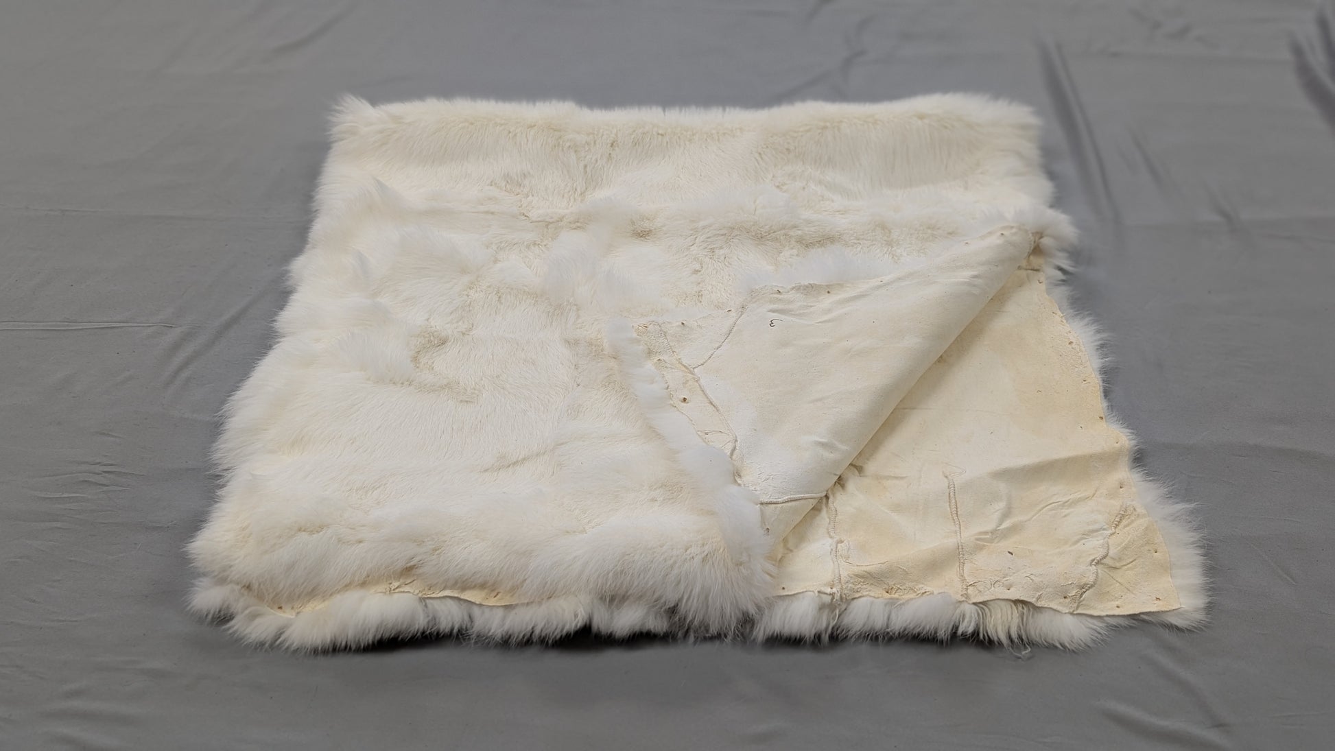 Rabbit Plate - White