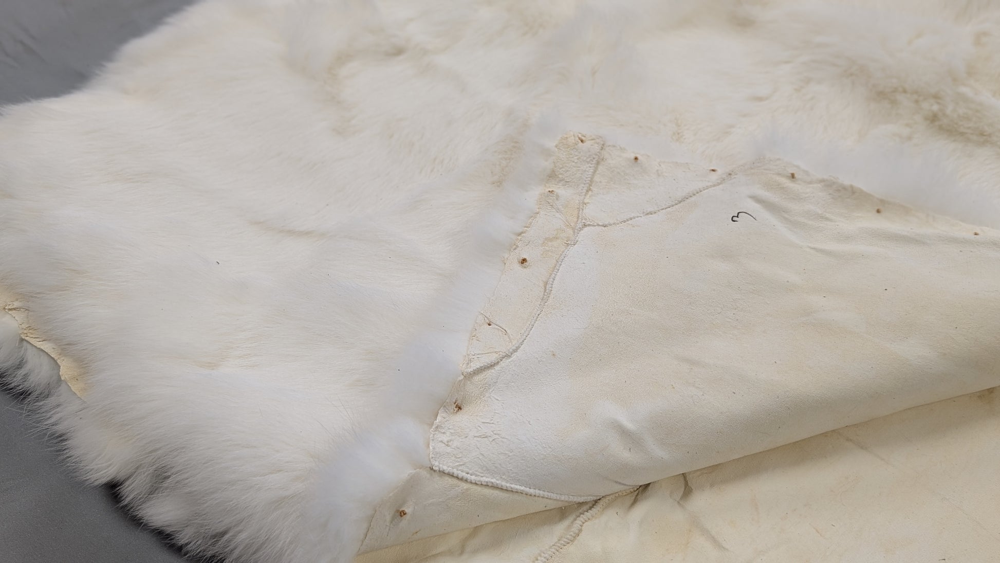 Rabbit Plate - White - Close