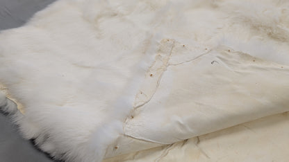 Rabbit Plate - White - Close