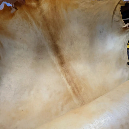 Elk Rawhide