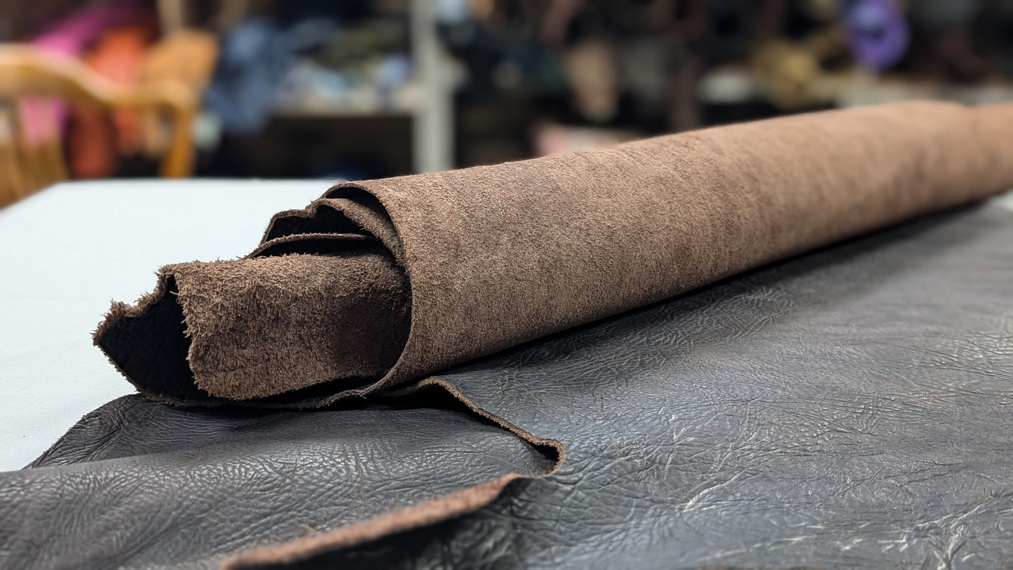 Shrunken Bull Shoulder